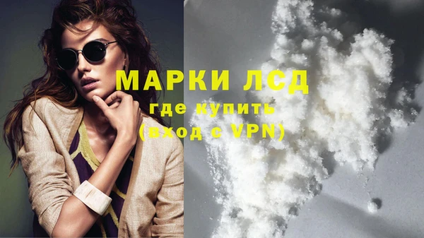 ГАЛЛЮЦИНОГЕННЫЕ ГРИБЫ Абаза