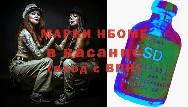 ГАЛЛЮЦИНОГЕННЫЕ ГРИБЫ Абаза
