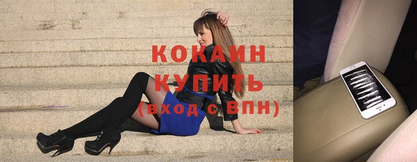 ГАЛЛЮЦИНОГЕННЫЕ ГРИБЫ Абаза
