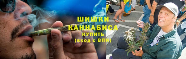 ГАЛЛЮЦИНОГЕННЫЕ ГРИБЫ Абаза